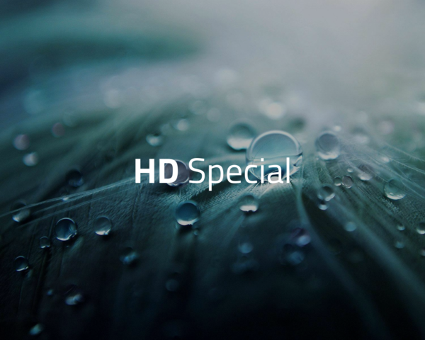 Blatt mit Wassertropfen im Hintergrund mit dem Schriftzug "HD Special"
