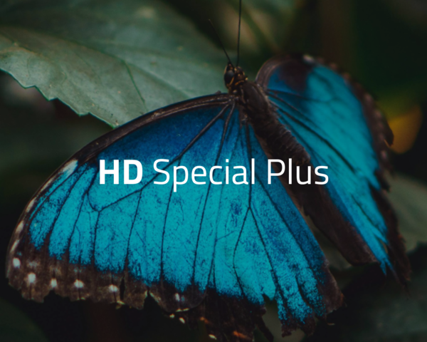 Schmetterling im Hintergrund mit dem Schriftzug "HD Special plus"